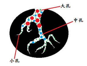 活性炭结构.jpg