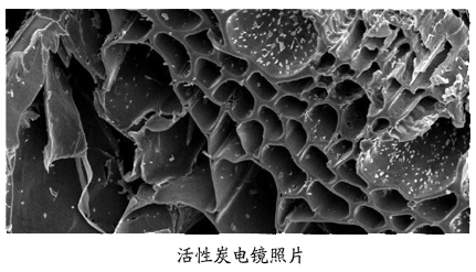 活性炭电镜照片.jpg
