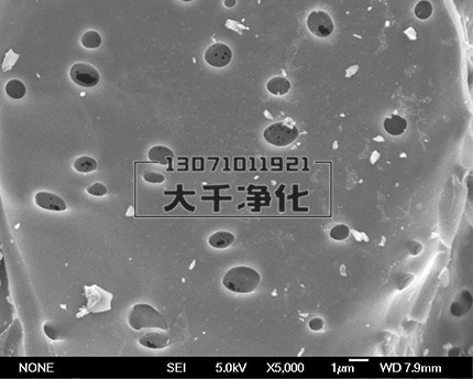 活性炭电镜图片 (3)_副本.jpg